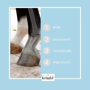 kroepfel-all-around-senior-liquid-tier