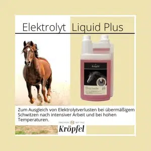 kroepfel-elektrolyt-liquid-plus