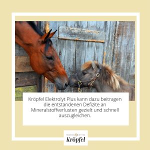 kroepfel-elektrolyt-liquid-plus-pferd