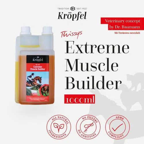 Extreme Muscle Builder